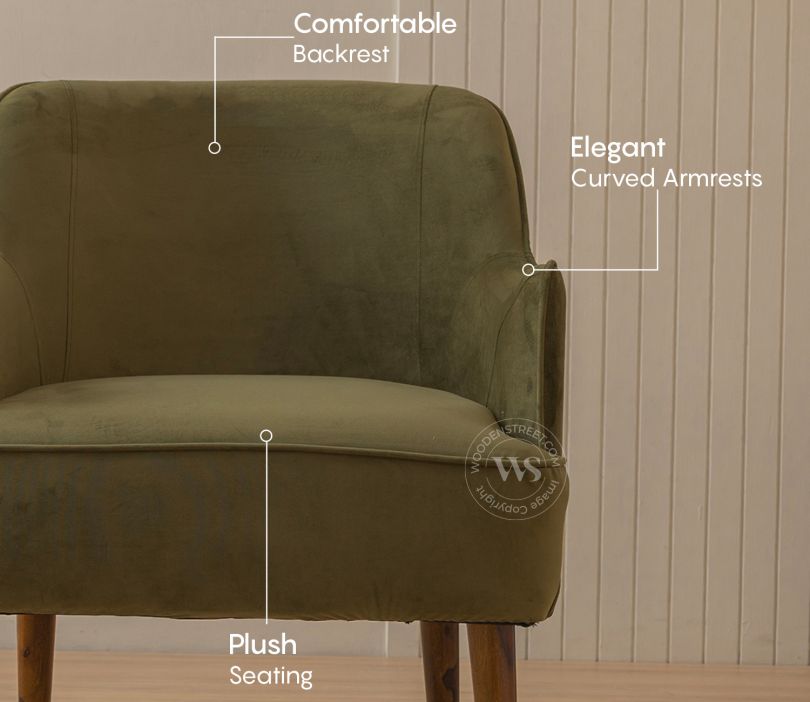 Avira Lounge Chair Dark Olive Green – Velvet Accent Chair Pakistan