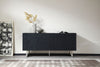 Matte Black Ash Veneer Cabinet with Steel Legs